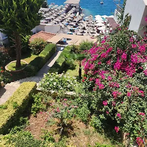  Hotel Amelie's & Saranda